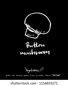 Vegetable and fruit illustrations / Hand drawn food ingredients - vector