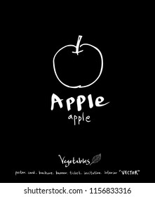 Vegetable and fruit illustrations / Hand drawn food ingredients - vector