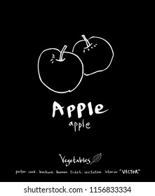 Vegetable and fruit illustrations / Hand drawn food ingredients - vector