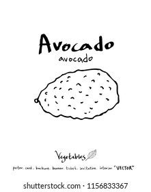 Vegetable and fruit illustrations / Hand drawn food ingredients - vector