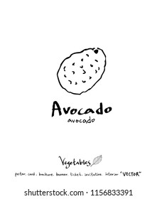 Vegetable and fruit illustrations / Hand drawn food ingredients - vector