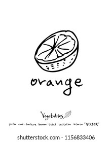 Vegetable and fruit illustrations / Hand drawn food ingredients - vector