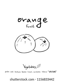 Vegetable and fruit illustrations / Hand drawn food ingredients - vector