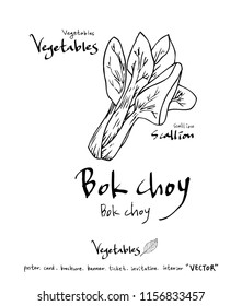 Vegetable and fruit illustrations / Hand drawn food ingredients - vector