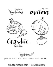 Vegetable and fruit illustrations / Hand drawn food ingredients - vector