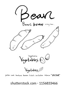 Vegetable and fruit illustrations / Hand drawn food ingredients - vector
