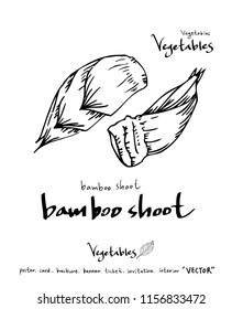 Vegetable and fruit illustrations / Hand drawn food ingredients - vector