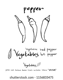 Vegetable and fruit illustrations / Hand drawn food ingredients - vector