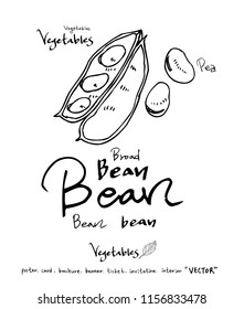 Vegetable and fruit illustrations / Hand drawn food ingredients - vector