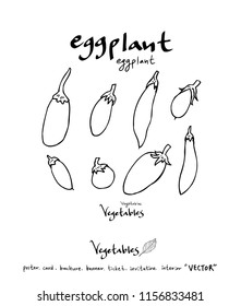 Vegetable and fruit illustrations / Hand drawn food ingredients - vector