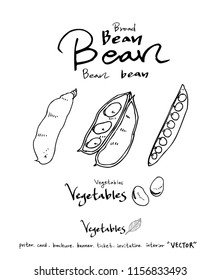 Vegetable and fruit illustrations / Hand drawn food ingredients - vector