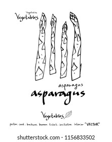 Vegetable and fruit illustrations / Hand drawn food ingredients - vector