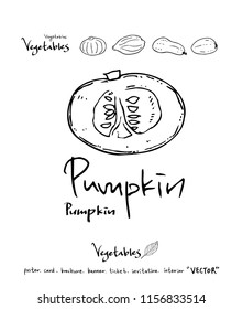 Vegetable and fruit illustrations / Hand drawn food ingredients - vector