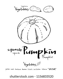 Vegetable and fruit illustrations / Hand drawn food ingredients - vector