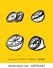 Vegetable and fruit illustrations / Hand drawn food ingredients - vector