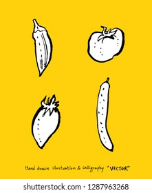 Vegetable and fruit illustrations / Hand drawn food ingredients - vector