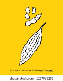 Vegetable and fruit illustrations / Hand drawn food ingredients - vector