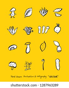 Vegetable and fruit illustrations / Hand drawn food ingredients - vector