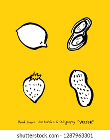 Vegetable and fruit illustrations / Hand drawn food ingredients - vector