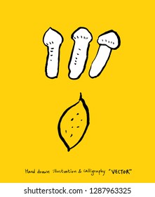 Vegetable and fruit illustrations / Hand drawn food ingredients - vector