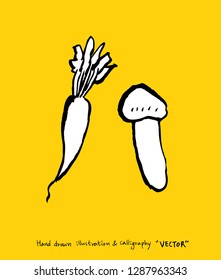 Vegetable and fruit illustrations / Hand drawn food ingredients - vector