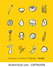 Vegetable and fruit illustrations / Hand drawn food ingredients - vector