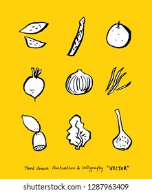 Vegetable and fruit illustrations / Hand drawn food ingredients - vector