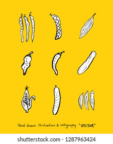 Vegetable and fruit illustrations / Hand drawn food ingredients - vector