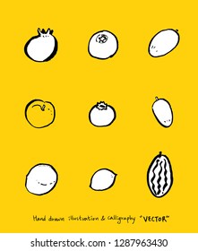 Vegetable and fruit illustrations / Hand drawn food ingredients - vector