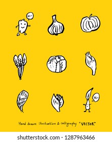 Vegetable and fruit illustrations / Hand drawn food ingredients - vector