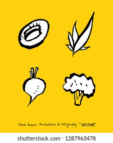 Vegetable and fruit illustrations / Hand drawn food ingredients - vector