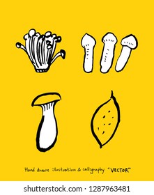 Vegetable and fruit illustrations / Hand drawn food ingredients - vector