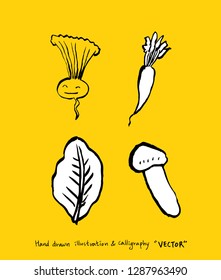 Vegetable and fruit illustrations / Hand drawn food ingredients - vector