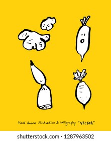 Vegetable and fruit illustrations / Hand drawn food ingredients - vector