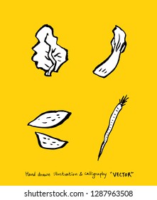 Vegetable and fruit illustrations / Hand drawn food ingredients - vector