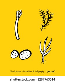 Vegetable and fruit illustrations / Hand drawn food ingredients - vector