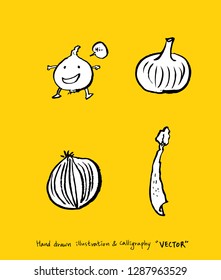 Vegetable and fruit illustrations / Hand drawn food ingredients - vector