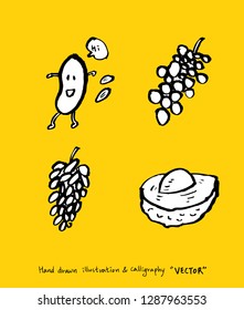 Vegetable and fruit illustrations / Hand drawn food ingredients - vector