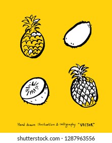 Vegetable and fruit illustrations / Hand drawn food ingredients - vector