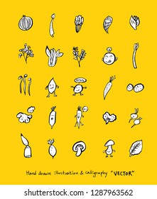 Vegetable and fruit illustrations / Hand drawn food ingredients - vector