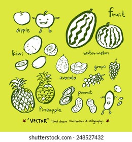 Vegetable and fruit illustrations / Hand drawn food ingredients - vector