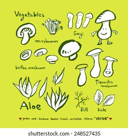 Vegetable and fruit illustrations / Hand drawn food ingredients - vector