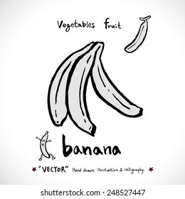 Vegetable and fruit illustrations / Hand drawn food ingredients - vector