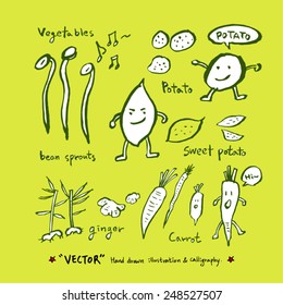 Vegetable and fruit illustrations / Hand drawn food ingredients - vector