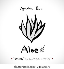 Vegetable and fruit illustrations / Hand drawn food ingredients - vector