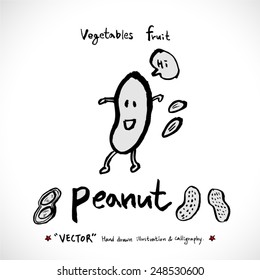 Vegetable and fruit illustrations / Hand drawn food ingredients - vector