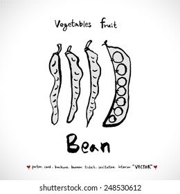 Vegetable and fruit illustrations / Hand drawn food ingredients - vector