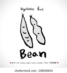 Vegetable and fruit illustrations / Hand drawn food ingredients - vector