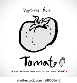 Vegetable and fruit illustrations / Hand drawn food ingredients - vector