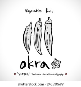 Vegetable and fruit illustrations / Hand drawn food ingredients - vector